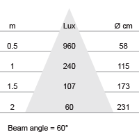 Lux-cone Diagram