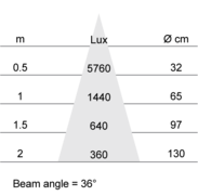 Lux-cone Diagram