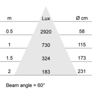 Lux-cone Diagram