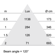 Lux-cone Diagram