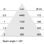 Lux-cone Diagram