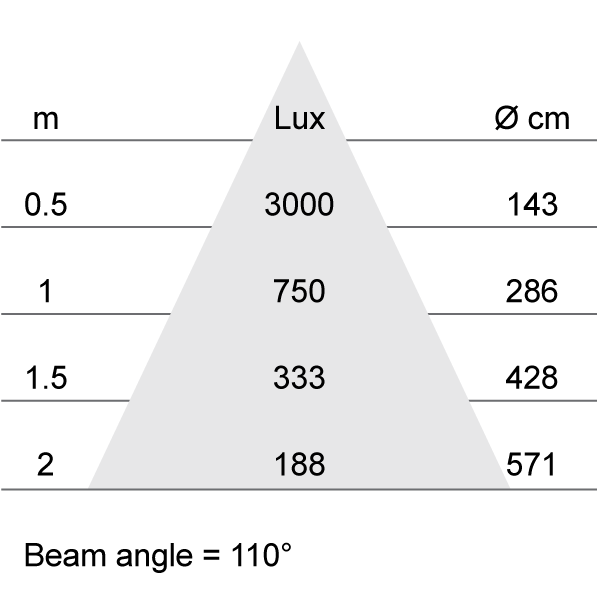 Lux-cone Diagram