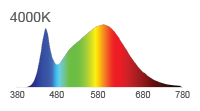 Spectral Power Distribution